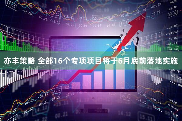 亦丰策略 全部16个专项项目将于6月底前落地实施