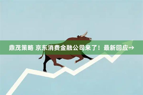 鼎茂策略 京东消费金融公司来了！最新回应→