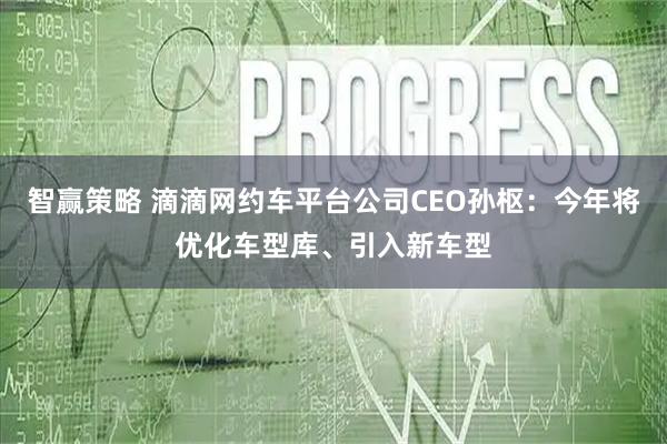 智赢策略 滴滴网约车平台公司CEO孙枢：今年将优化车型库、引入新车型